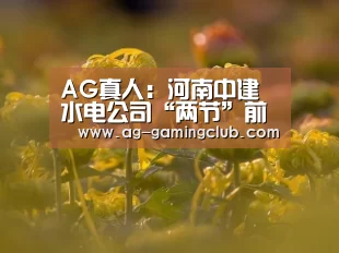 AG真人：河南中建水电公司“两节”前不忘抓廉政