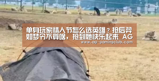 单身玩家情人节怎么选英雄？抢后羿如梦令不算啥，抢到她快乐起来