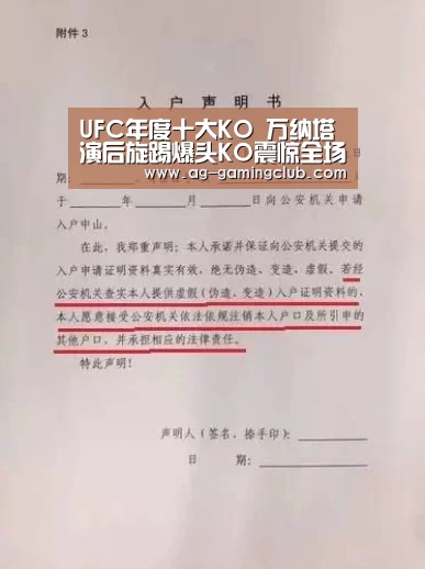 UFC年度十大KO 万纳塔演后旋踢爆头KO震惊全场-AG真人(图3) AG娱乐
