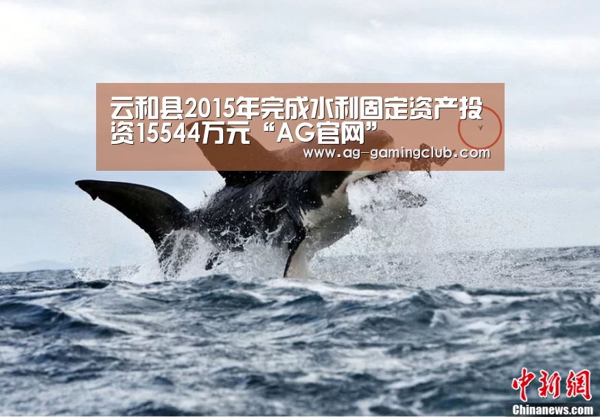 云和县2015年完成水利固定资产投资15544万元“AG官网”(图2) AG真人