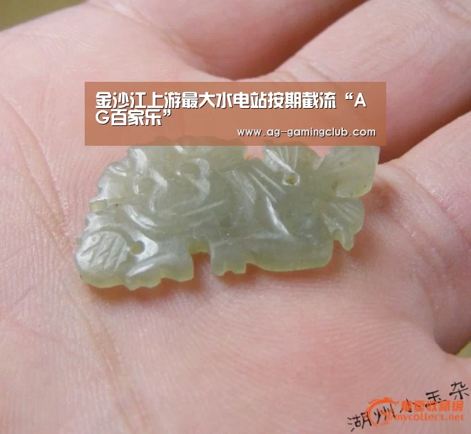 金沙江上游最大水电站按期截流“AG百家乐”(图4) AG官网