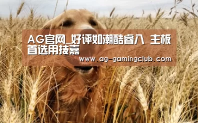 AG官网_好评如潮酷睿八 主板首选用技嘉(图2) AG真人