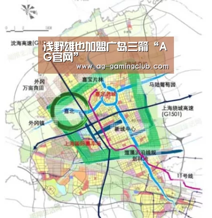 AG百家乐