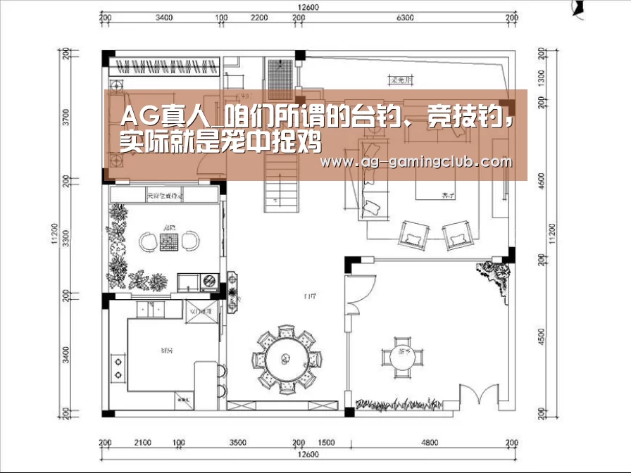 AG真人_咱们所谓的台钓、竞技钓,实际就是笼中捉鸡(图3) AG百家乐